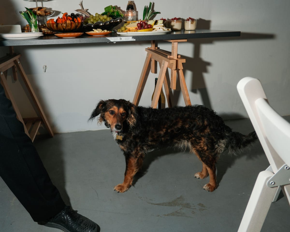 Reclaiming spaces in Budapest with Robert Schwarz and local actors