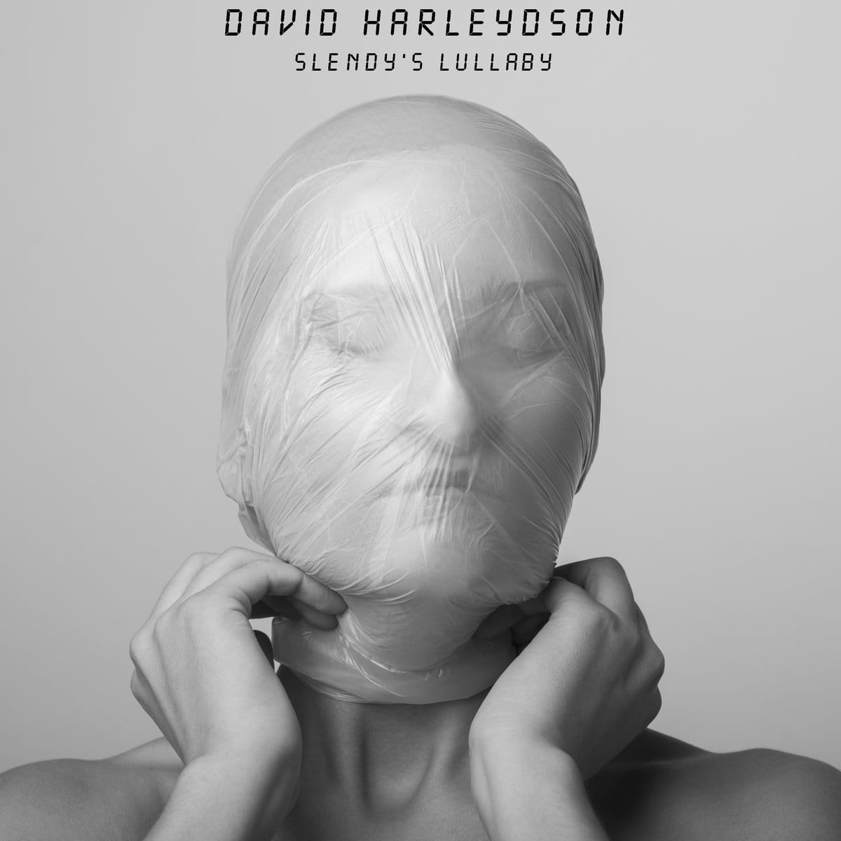David Harleydson – Slendy’s Lullaby